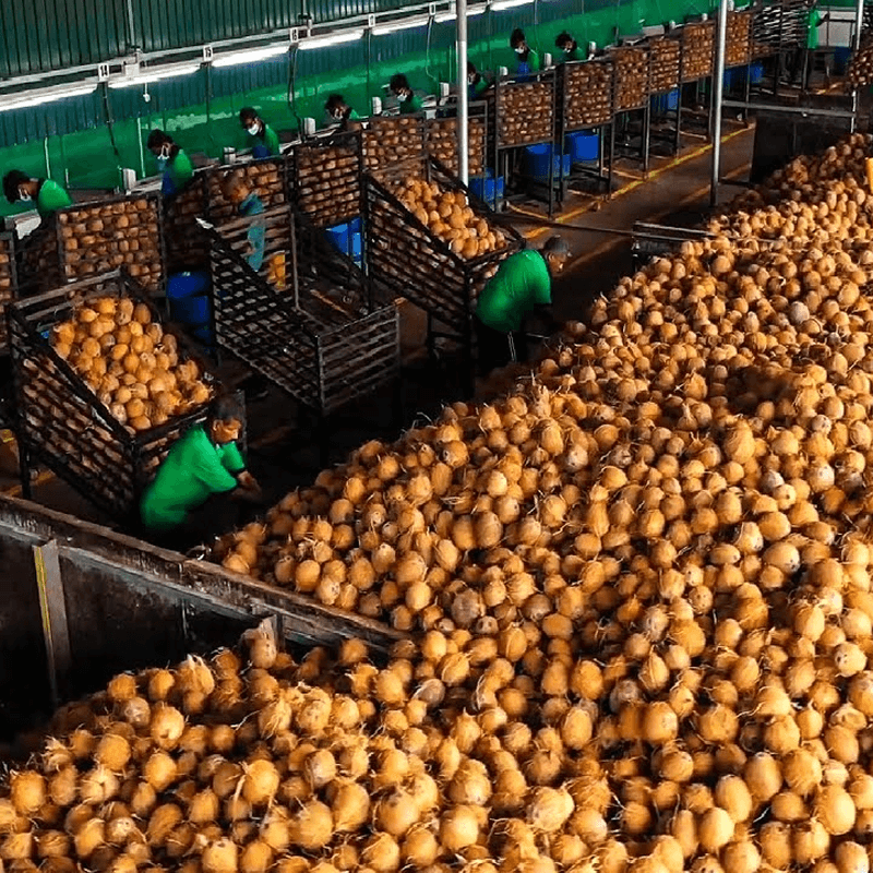 Manufacturing Facility 1